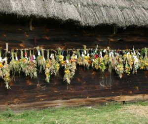 VII PODLASKIE ŚWIĘTO CHLEBA VII PODLASKIE ŚWIĘTO CHLEBA