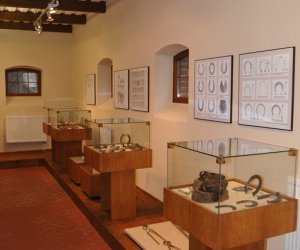 Odnowiona ekspozycja Muzeum Weterynarii Odnowiona ekspozycja Muzeum Weterynarii