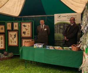 Jarmark św. Wojciecha i Święto Lasu Jarmark św. Wojciecha i Święto Lasu
