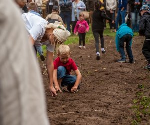 Jesień w polu i zagrodzie Jesień w polu i zagrodzie