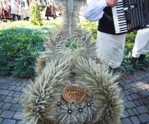 XVIII Podlaskie Święto Chleba - fotorelacja XVIII Podlaskie Święto Chleba - fotorelacja