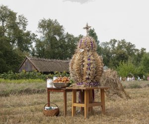 XVI Podlaskie Święto Chleba XVI Podlaskie Święto Chleba