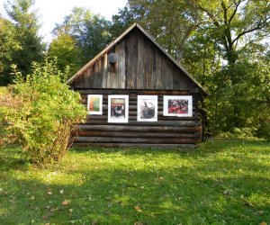 "Jesienne nostalgie" Ciechanowiecki plener malarski "Jesienne nostalgie" Ciechanowiecki plener malarski
