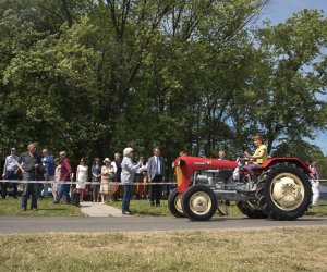 Piknik "Poznaj Zdrową Żywność" - fotorelacja