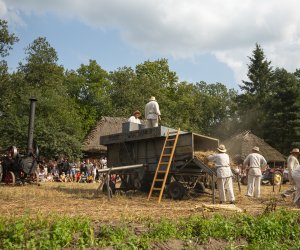 XXIII Podlaskie Święto Chleba - fotorelacja XXIII Podlaskie Święto Chleba - fotorelacja