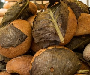 XIX Podlaskie Święto Chleba - fotorelacja XIX Podlaskie Święto Chleba - fotorelacja