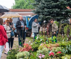Jarmark św. Wojciecha i Święto Lasu Jarmark św. Wojciecha i Święto Lasu