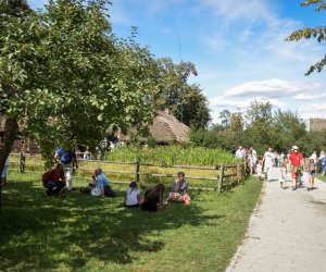 XVIII Podlaskie Święto Chleba - fotorelacja XVIII Podlaskie Święto Chleba - fotorelacja