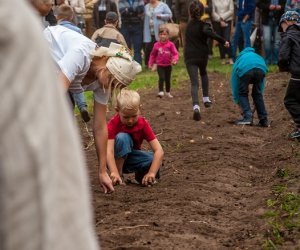 Jesień w polu i zagrodzie Jesień w polu i zagrodzie