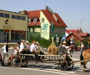 IX Podlaskie Święto Chleba IX Podlaskie Święto Chleba