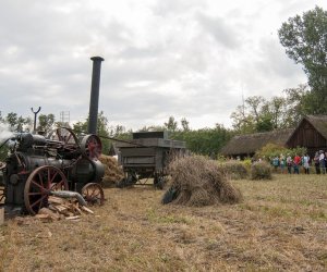 XVI Podlaskie Święto Chleba XVI Podlaskie Święto Chleba