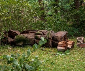 Nawałnica w Ciechanowcu Nawałnica w Ciechanowcu