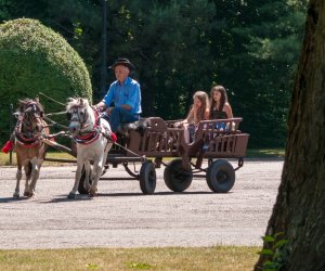 Odpust na św. Antoniego Odpust na św. Antoniego