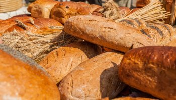 24. Podlaskie Święto Chleba