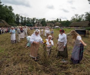 XVII Podlaskie Święto Chleba - fotorelacja XVII Podlaskie Święto Chleba - fotorelacja