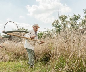 Święto Chleba po raz trzynasty Święto Chleba po raz trzynasty