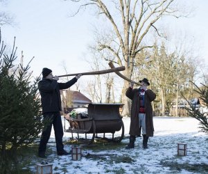 LIGAWKI 2016 - Fotorelacja z konkursu LIGAWKI 2016 - Fotorelacja z konkursu