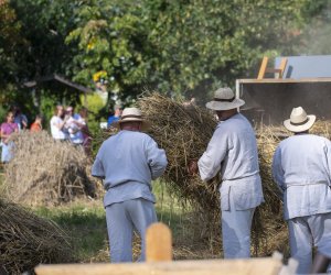 XXII Podlaskie Święto Chleba - fotorelacja XXII Podlaskie Święto Chleba - fotorelacja