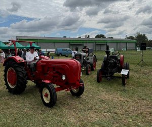 XXXI Regionalna Wystawa Zwierząt Hodowlanych i Dni z Doradztwem Rolniczym w PODR Szepietowo.
