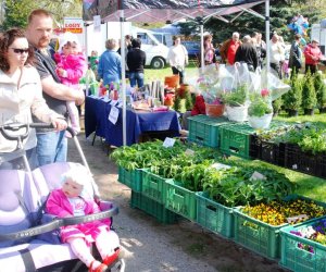 JARMARK ŚWIĘTEGO WOJCIECHA W MUZEUM ROLNICTWA W CIECHANOWCU JARMARK ŚWIĘTEGO WOJCIECHA W MUZEUM ROLNICTWA W CIECHANOWCU