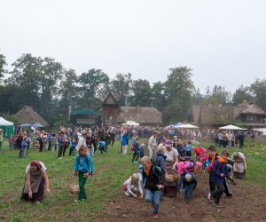JESIEŃ W POLU I ZAGRODZIE JESIEŃ W POLU I ZAGRODZIE