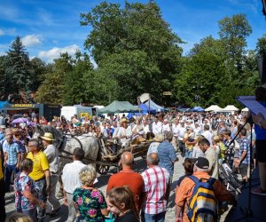 XVIII Podlaskie Święto Chleba - fotorelacja XVIII Podlaskie Święto Chleba - fotorelacja