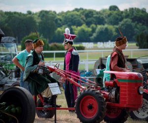 Muzeum na Pikniku Poznaj Dobrą Żywność Muzeum na Pikniku Poznaj Dobrą Żywność