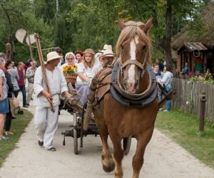 XVII Podlaskie Święto Chleba - fotorelacja XVII Podlaskie Święto Chleba - fotorelacja