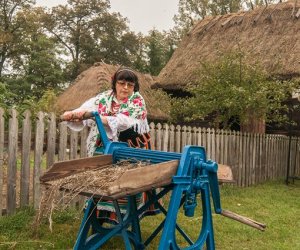 Wykopki w Skansenie 2013 Wykopki w Skansenie 2013