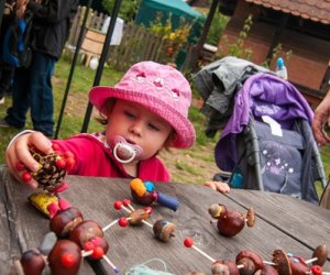 JESIEŃ W POLU I ZAGRODZIE JESIEŃ W POLU I ZAGRODZIE