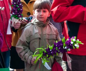 Galeria - Niedziela Palmowa 2015 Galeria - Niedziela Palmowa 2015