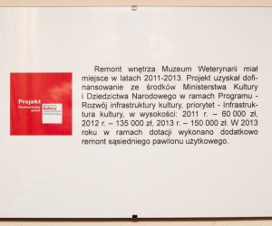 Zakończenie modernizacji wnętrza stajni - Muzeum Weterynarii Zakończenie modernizacji wnętrza stajni - Muzeum Weterynarii