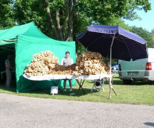 IX Podlaskie Święto Chleba IX Podlaskie Święto Chleba