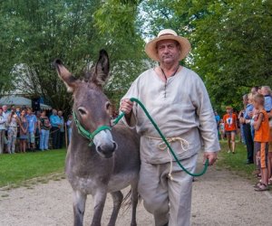 XIV Podlaskie Święto Chleba XIV Podlaskie Święto Chleba