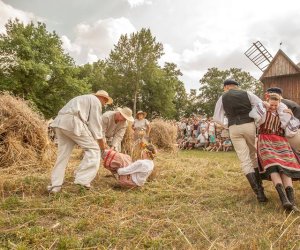XIV Podlaskie Święto Chleba XIV Podlaskie Święto Chleba