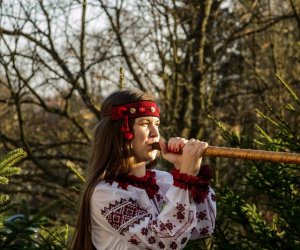 Galeria z 5 grudnia 2015 Galeria z 5 grudnia 2015