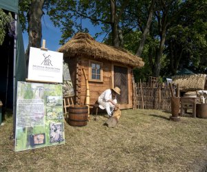 Piknik "Poznaj Zdrową Żywność" - fotorelacja