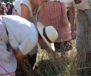 IX Podlaskie Święto Chleba IX Podlaskie Święto Chleba