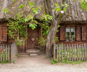 Ludowe Zielone Świątki - święto kościelne Zesłania Ducha Świętego, zamykającego cykl Wielkanocy 15 maja 2016 r. Ludowe Zielone Świątki - święto kościelne Zesłania Ducha Świętego, zamykającego cykl Wielkanocy 15 maja 2016 r.