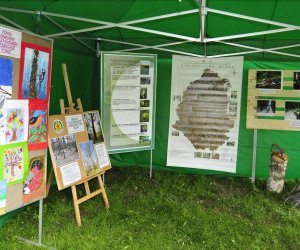 JARMARK ŚW. WOJCIECHA JARMARK ŚW. WOJCIECHA