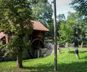 XVIII Podlaskie Święto Chleba - fotorelacja XVIII Podlaskie Święto Chleba - fotorelacja