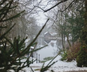 Ligawki 2017 - fotorelacja