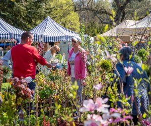 Jarmark św. Wojciecha A.D. 2023 - podsumowanie i fotorelacja