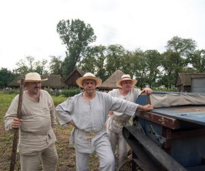 XVII Podlaskie Święto Chleba - fotorelacja XVII Podlaskie Święto Chleba - fotorelacja