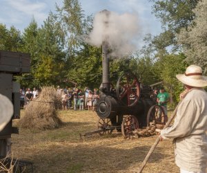 XX Podlaskie Święto Chleba - fotorelacja XX Podlaskie Święto Chleba - fotorelacja