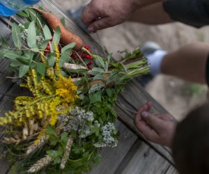 XX Podlaskie Święto Chleba - fotorelacja XX Podlaskie Święto Chleba - fotorelacja