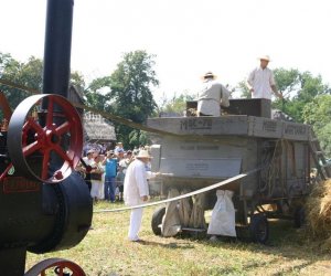 IX Podlaskie Święto Chleba IX Podlaskie Święto Chleba