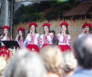 XXII Podlaskie Święto Chleba - fotorelacja XXII Podlaskie Święto Chleba - fotorelacja