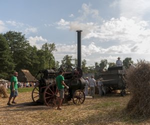 XX Podlaskie Święto Chleba - fotorelacja XX Podlaskie Święto Chleba - fotorelacja