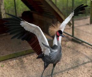 Codziennik Muzealny - Wiosna w ciechanowieckim muzeum Codziennik Muzealny - Wiosna w ciechanowieckim muzeum
